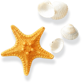 海綿制品廠家對比背景